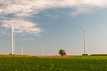 Grüne erneuerbare und nachhaltige Energieerzeugung mit Windrädern auf freiem Feld