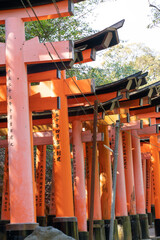 Japanese traditional religious shrine torii