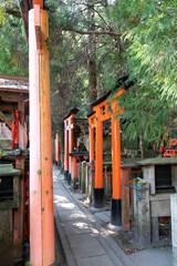 Japanese traditional religious shrine torii