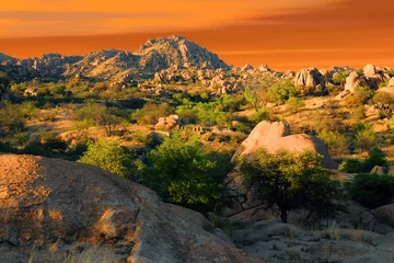 Foto auf Acrylglas Texas Canyon Sonora Desert Arizona © Paul Moore