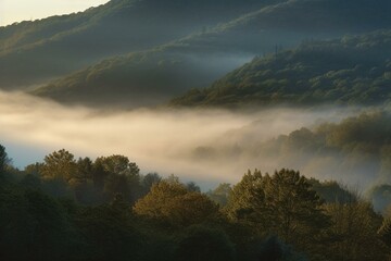 Fototapeta na wymiar Early morning foggy mountainscape at daybreak. Generative AI