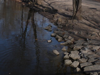 reflections on the water