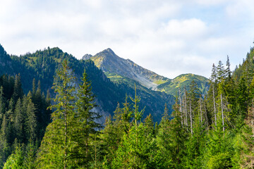 Obraz premium mountain view forest landscape Poland Zakopane