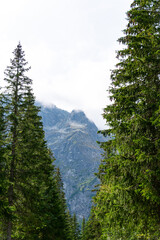 mountain view forest landscape Poland Zakopane