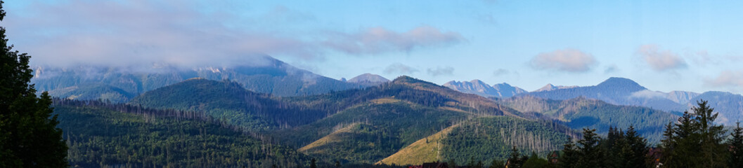 mountain view forest landscape Poland Zakopane © Андрей Трубицын