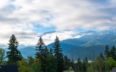 mountain view forest landscape Poland Zakopane
