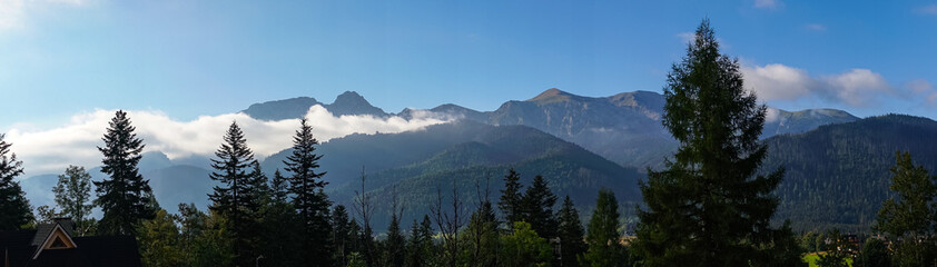 mountain view forest landscape Poland Zakopane © Андрей Трубицын