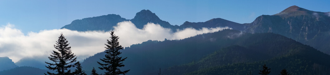 mountain view forest landscape Poland Zakopane