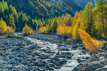 Goldener Oktober im Val Morteratsch, Pontresina, Engadin, Graubünden, Schweiz
