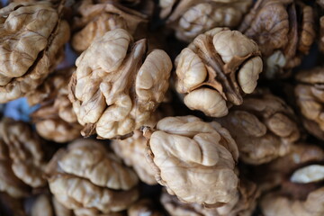 Fresh walnuts picked from the tree