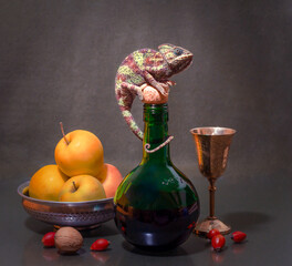 still life with a female Yemeni chameleon sitting on a green bottle next to apples and melchior glass © Sofiia