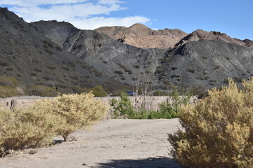 Desert Landscape with a clear sky