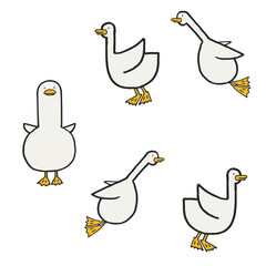 Illustration of a white duck in various poses
