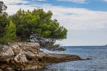 Picture of a deserted section of the Istrian Adriatic coast in summer