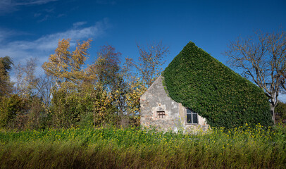 Herbstfassade im Waldviertel