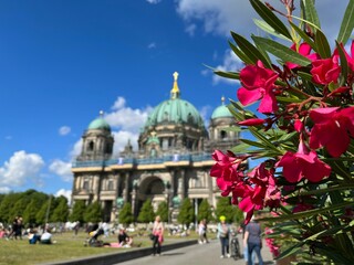 Pink flowers blooming in front of the cathedral in Berlin