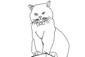 Animal - Pet - Adorable cat illustration