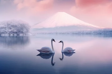 Gordijnen Two swan in lake in winter with snow at sunrise. © rabbit75_fot
