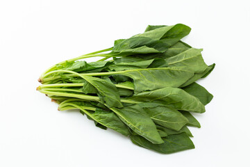 白背景にホウレンソウ