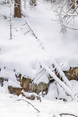 Icicles on a cliff in a snowy forest in winter