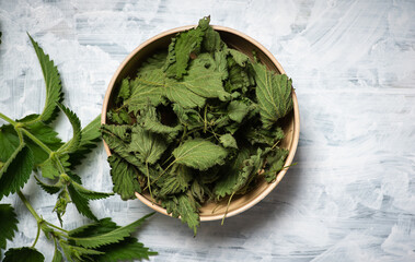 Dried nettle leaves and fresh nettle - 673845100