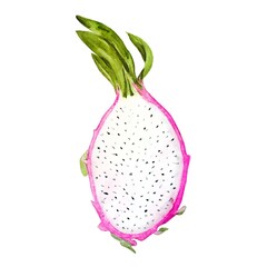 Half of a pitahaya fruit (Dragon Fruit) drawing on a white background. Watercolor hand drawn art illustration. For cards, handmade textiles, prints, menus, poster