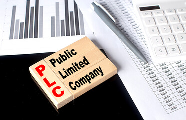 Word PLC made with wood building blocks, business concept