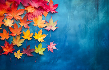 Colorful autumn leaves on a blue background,.