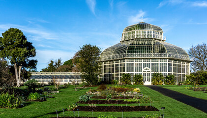 The Palm House Greenhouse in the National Botanic Gardens in Dublin, Ireland. Built originally in 1862 and restored by the OPW in 2004 - obrazy, fototapety, plakaty