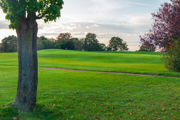 Great Hollands Park in Bracknell, Berkshire