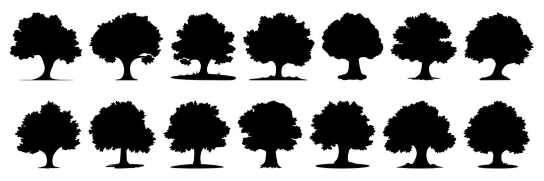 Tree silhouettes set, large pack of vector silhouette design, isolated white background