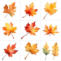 Set of beautiful colorful watercolor autumn leaves and thanksgiving leaves