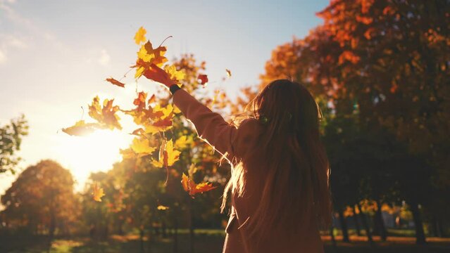 Young woman having positive good mood throwing fallen maple leaves in air in sunny autumn weather in park, back view. Outdoors recreation entertainment in fall season, playing with foliage concept.