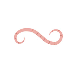 
Pinworm Vector