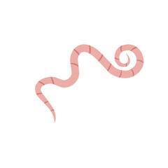 
Pinworm Vector