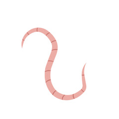 
Pinworm Vector