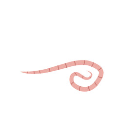 
Pinworm Vector