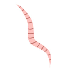 
Pinworm Vector