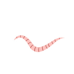 
Pinworm Vector