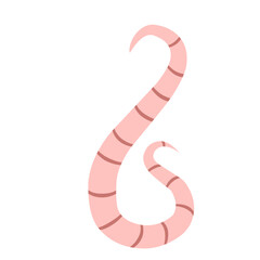 
Pinworm Vector