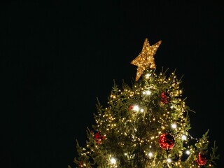 Illuminated Christmas tree adorned with ornaments and a star topper stands in a dark background