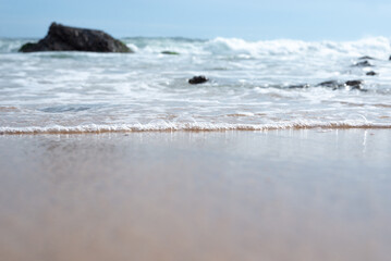 Obraz premium Seaside of a beautiful and serene beach. Preserved nature.