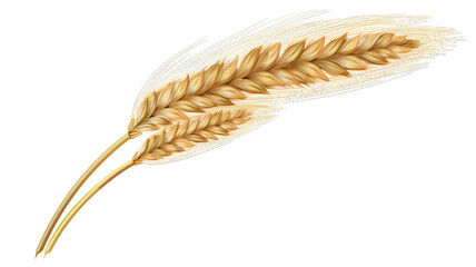 Single Wheat Ear Isolated on Clear Background