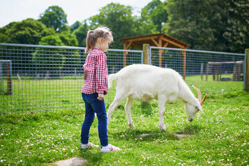 Adorable little girl playing with goats at farm