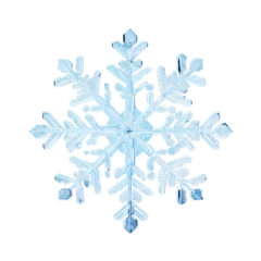 Fotobehang snowflake on transparent background © FF Proudction