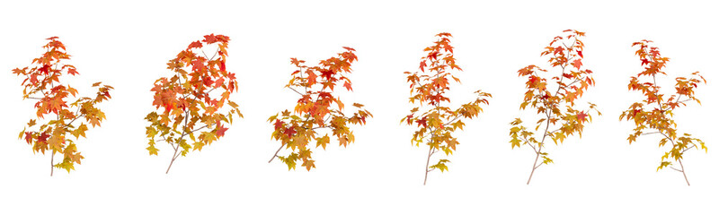 Orange autumn leaves branch isolated on white - Powered by Adobe