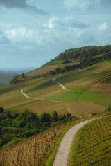 Serene rural landscape in Wurzburg, Germany featuring a lush green field