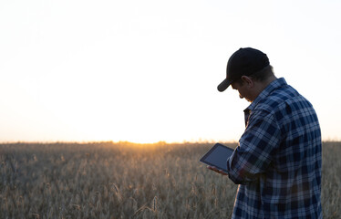 Against the backdrop of sunset, a farmer with a tablet in his hands inspects a field of wheat. An agronomist takes notes on a clipboard after examining a field of ripe wheat.