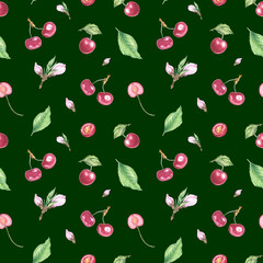 Cherry flowers watercolor seamless pattern for design wallpaper, textile. Print watercolor and graphic botanical illustrations for art design.