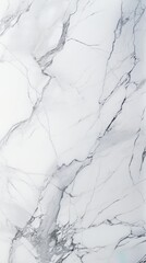 panoramic white background from marble stone